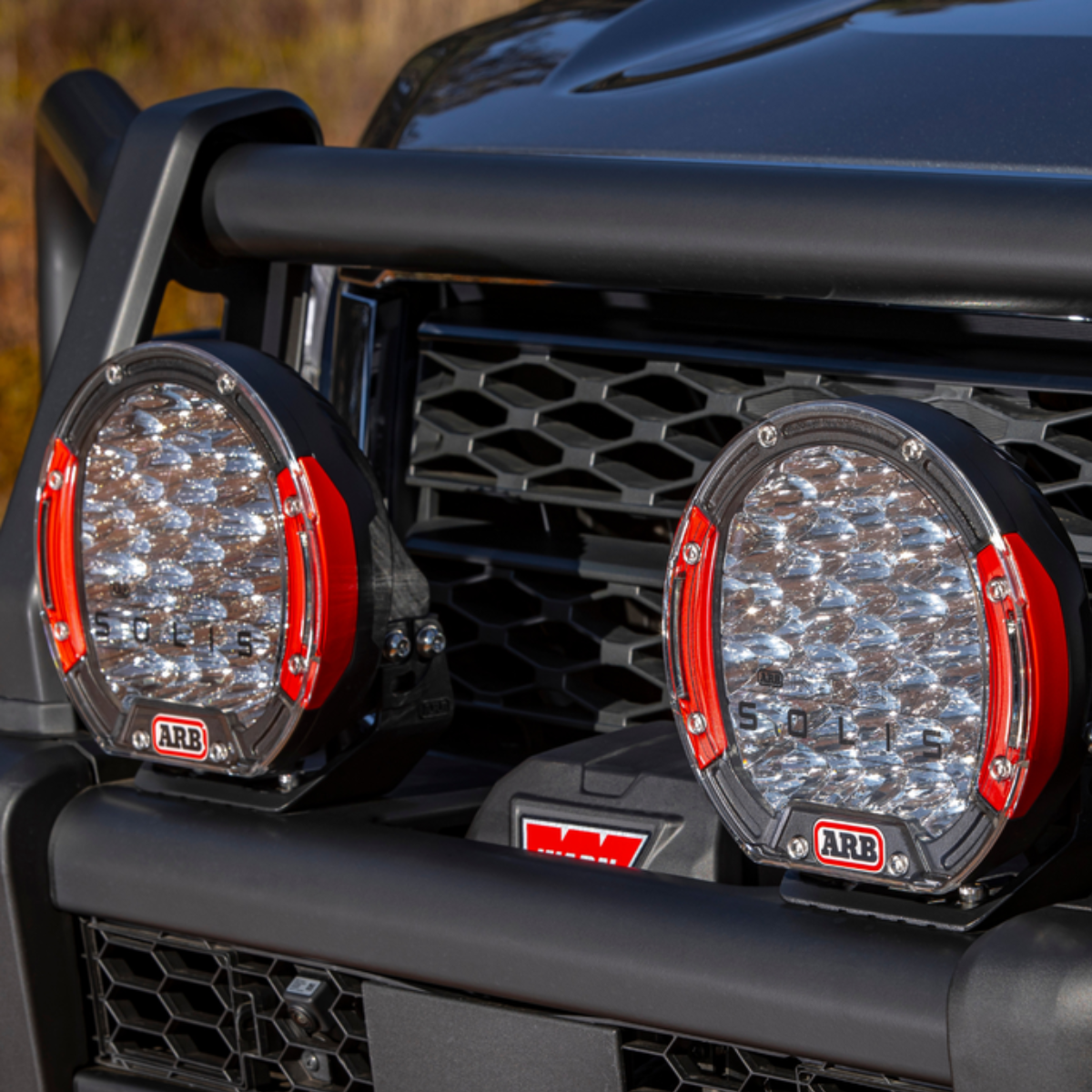 Arb solis new arrivals